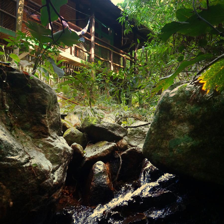 Pousada Sitio Dos Tucanos Florianópolis Exteriér fotografie