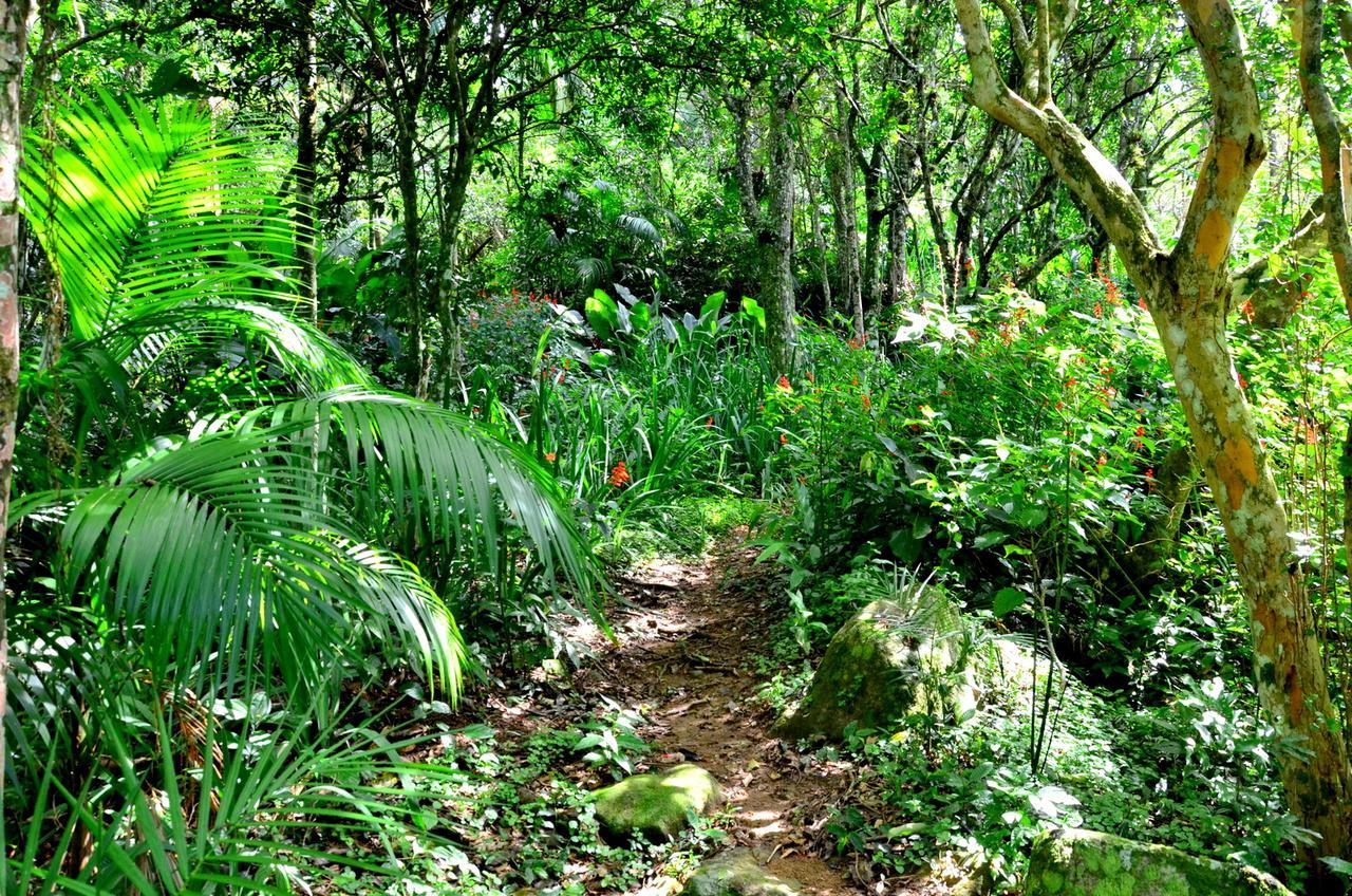 Pousada Sitio Dos Tucanos Florianópolis Exteriér fotografie